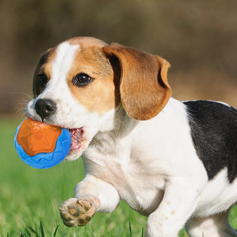 Hundespielzeugball 9cm